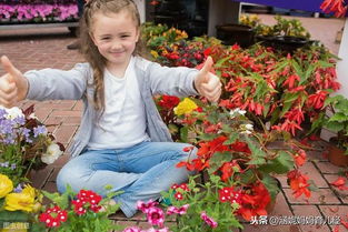园艺专业的宝贝：花卉学的魅力所在