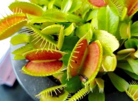 小技巧， 轻松解决土壤潮湿问题