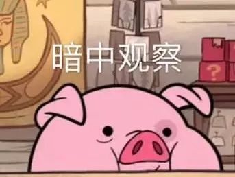 猪瘟，又称非洲猪瘟