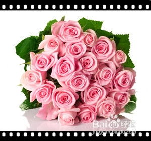 送花的讲究，你真的懂吗？