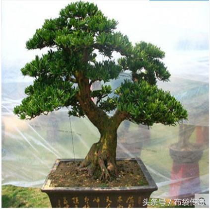 中毒后的症状有哪些？