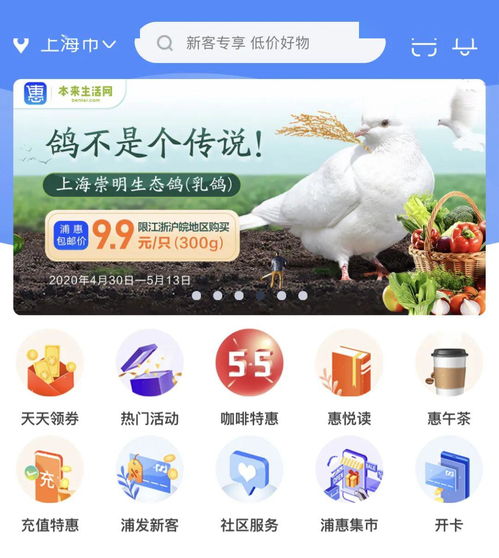 朋友圈， 也是好去处