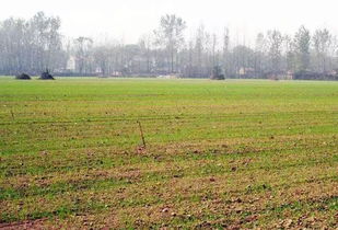 浇水量，到底多少合适