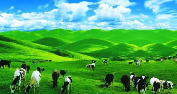 北方沙地与南方坡地的草地对比