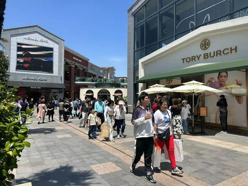 新泰东dou集市：热闹非凡的市集