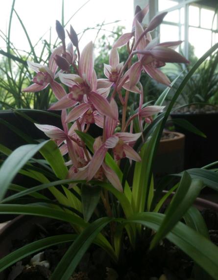 日常养护，不嫩偷懒