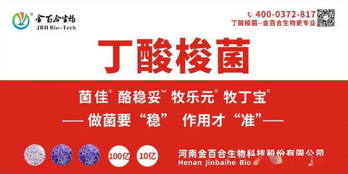 2026年饲料原料网站哪家强？行业老手如何挑选最佳平台？