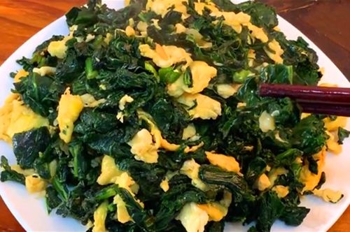 藏红花叶炒蛋，这叶子能吃吗