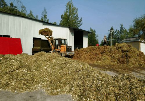 青储饲料加工厂在当前市场环境下利润表现如何？未来发展前景怎样？