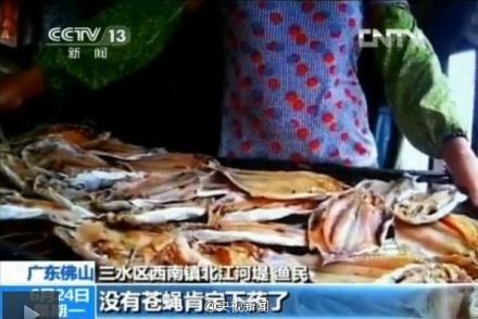 鱼干淋雨了还Neng吃吗？