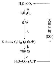 农药残留， 环境与人体健康的隐患