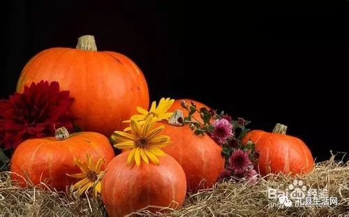 早春南瓜：温暖阳光下的美味果实