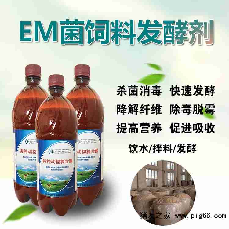 青饲料发酵储存时使用什么发酵剂和比例最适宜？