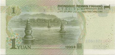 草木间藏着水土的守护者