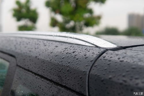 不同质地的稻草，覆盖厚度不同