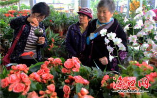 海南花卉大世界