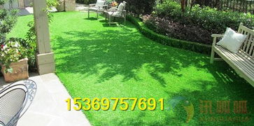 草坪选择小窍门，跟我学不踩坑！