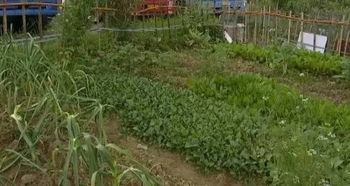 老大， 我找到鞍山农场的人了下午我开车去把资料给你送家里去