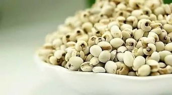 薏米种植，时机真是个大学问