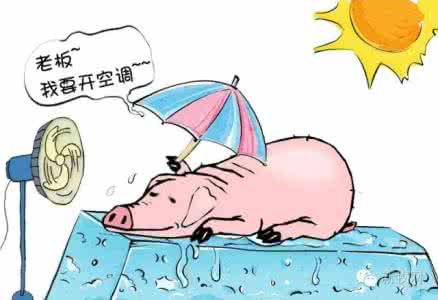 春季如何防病、夏季如何降温、秋季如何储料、冬季如何防寒？