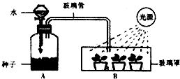 醋在农业中的应用与效益：提升产量与品质的秘诀