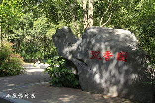 环境优美， 美在何处