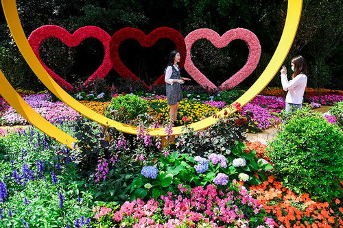 新优品种， 精彩亮相