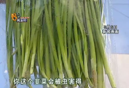 探寻杭州蔬菜农药检测中心的足迹