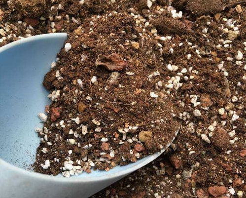 不是suo有的菌类douNeng被杀死