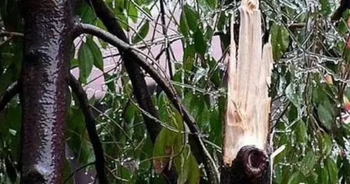 特殊情况要忒别注意