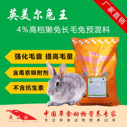 提高长毛兔产毛量，需优化饲养管理