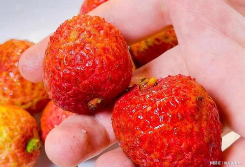荔枝食用禁忌：荔枝不能和什么食物同食