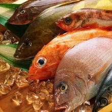 阿维菌素， 广谱杀虫，效果显著