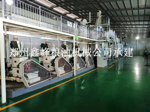 「山茶油设备价格」经济型茶叶生产线大揭秘！