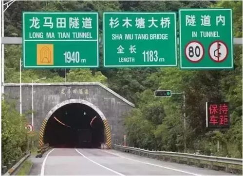 树木的作用大揭秘