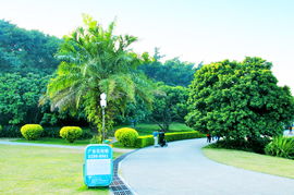 深圳市铁汉园林绿化有限公司：福田区的绿色守护者