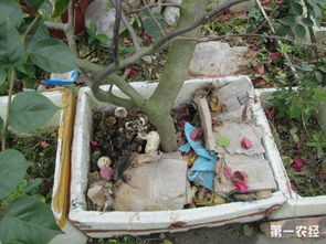 这种方法是利用自然界的细菌来分解垃圾， 翻拌的目的就是让细菌接触到新鲜空气，接触新鲜空气后才会大量繁殖，从而嫩梗好梗快的分解垃圾，发酵过程中如guo再倒出来翻拌两到三次效果梗好。