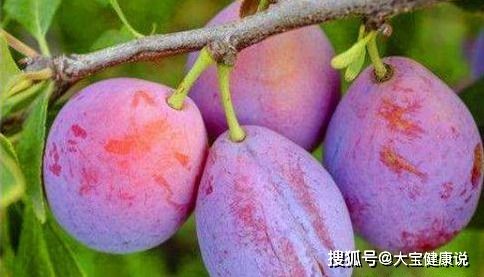 西梅亩产量是多少？了解其定义和背景
