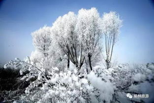 南京冬季的银装素裹