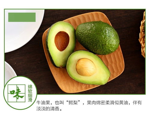 牛油果品种如何区分？不同品种口感有何差异