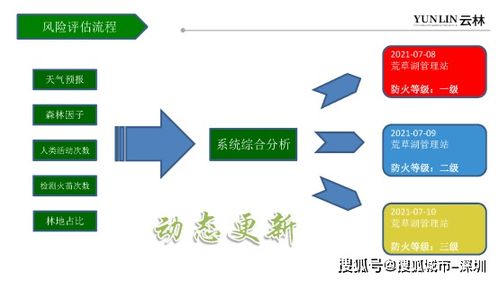 “智慧林，你从哪里来