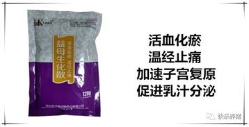 母猪易发生子宫炎，如何有效防控