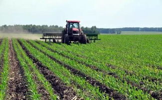 除草剂使用时机