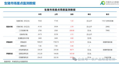 2024年猪价第11号报告显示，猪价波动原因何在？每公斤猪价会是多少？