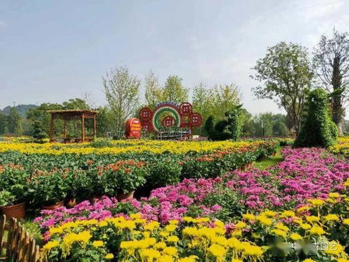 紫薇：高贵的女王