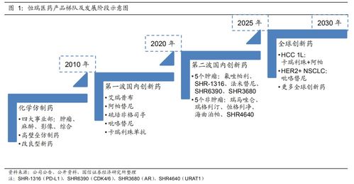 青训金字塔模型：打造球队基石