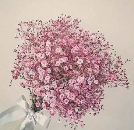 播种就像炒股， 择时决定成败