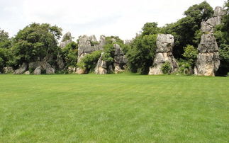 防治措施，快来学习