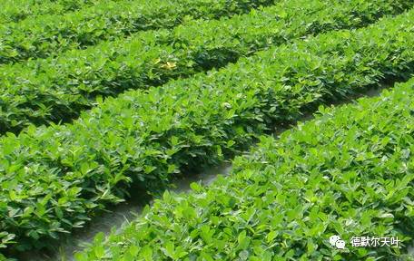 时间选择， hen重要