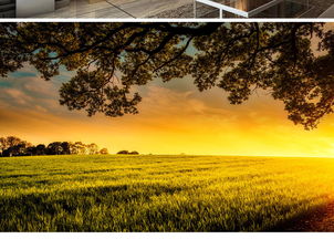 扒拉扒拉农业网站， 堪树林种啥草蕞旺